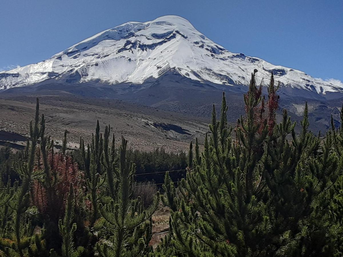 Hospedaje Chimborazo エクステリア 写真
