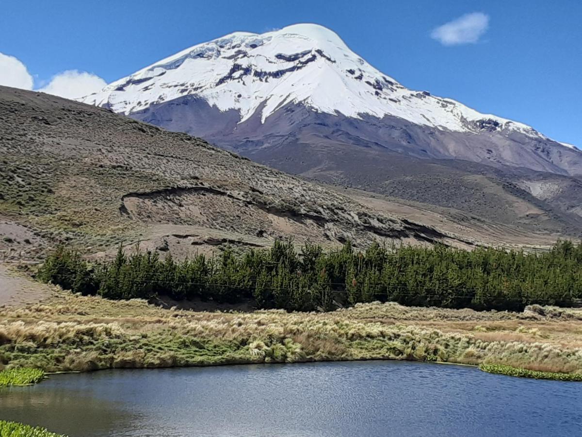 Hospedaje Chimborazo エクステリア 写真